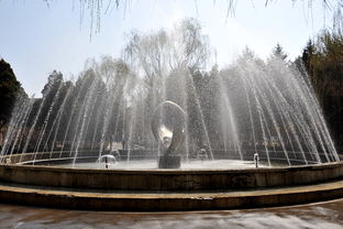 噴泉 動靜之間的詩意